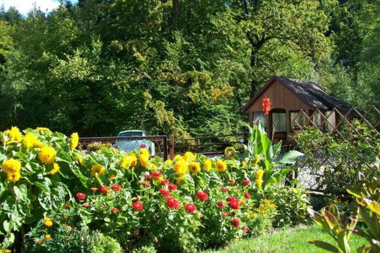 Apartament I Pokoje Goscinne U Lusi Wisła Esterno foto